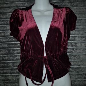 Velvet Burgundy Short Sleeve Top